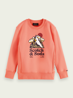 Kids Graphic Coral Sweater (164197)