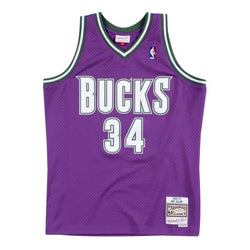 Mitchell&Ness Milwaukee Bucks Road Jersey (Ray Allen)